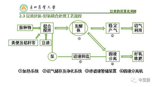 孫勇 豆腐制品加工過程廢棄物資源化利用技術(shù)與非常規(guī)水源利用技術(shù)研發(fā)
